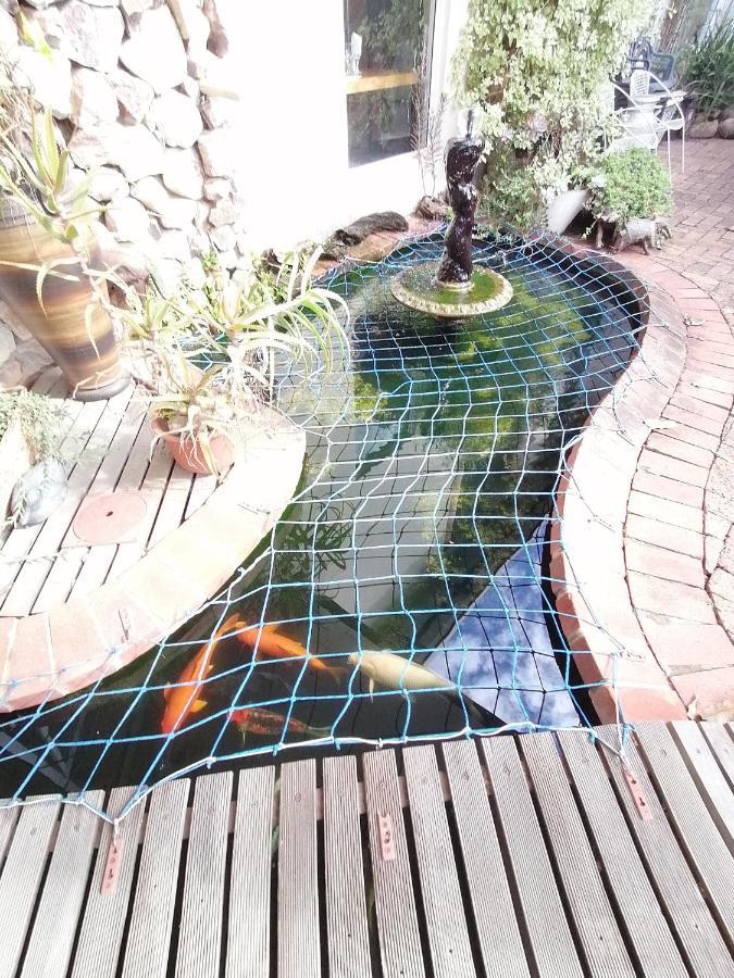 Serendipity Country House Amanzimtoti Zewnętrze zdjęcie